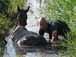 Prio 2 Dier te Water Paard Dykhuzen Gerkesklooster